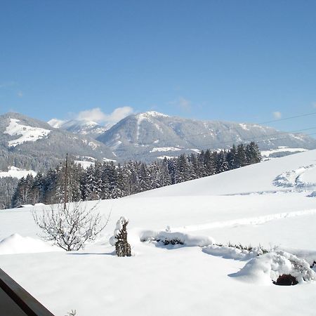 Unterwoetzlhof Hotel Abtenau Kültér fotó