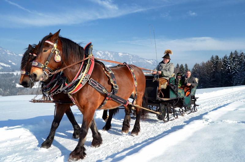Unterwoetzlhof Hotel Abtenau Kültér fotó